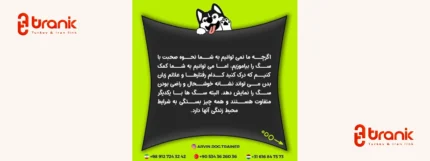 آکادمی آموزش سگ آروین، اولین مرکز تخصصی ایرانی تربیت سگ در ترکیه