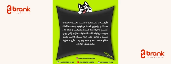 آکادمی آموزش سگ آروین، اولین مرکز تخصصی ایرانی تربیت سگ در ترکیه