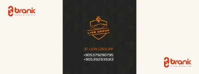 لیون گروپ | Lion Group