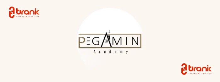 هلدینگ پگامین