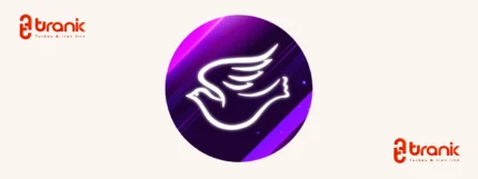 گروه پرنده سفید در استانبول