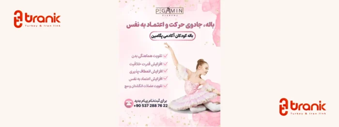 هلدینگ پگامین، آکادمی فرهنگی در استانبول