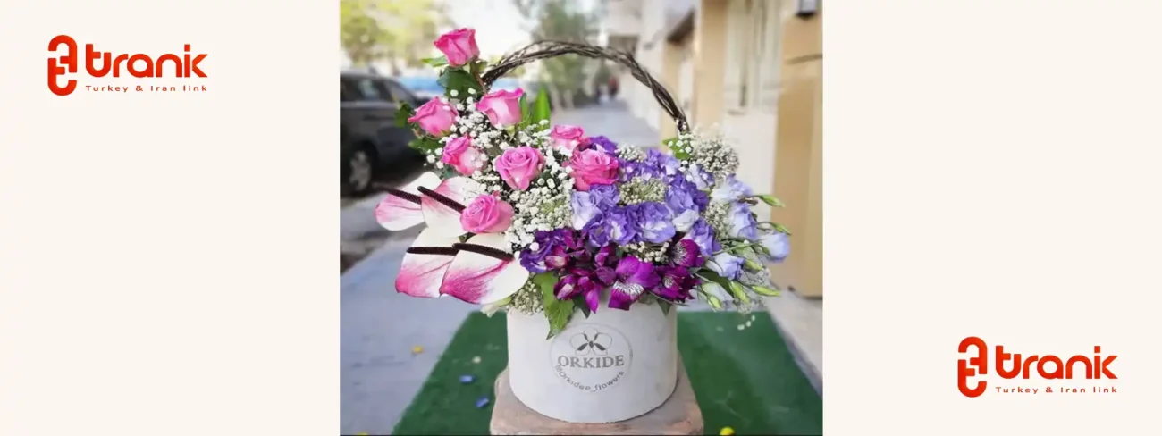 گالری گل ارکیده