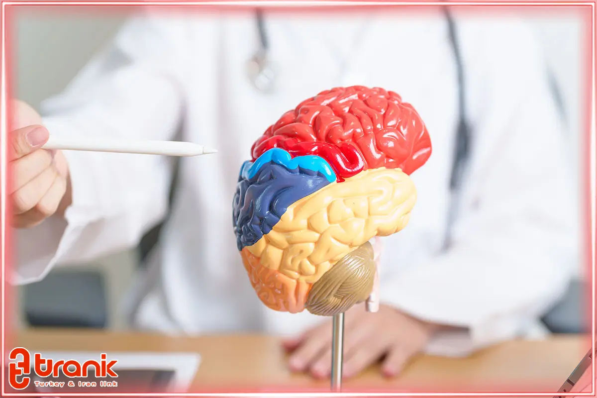 جمع‌بندی مقاله بهترین پزشکان مغز و اعصاب ایرانی در استانبول