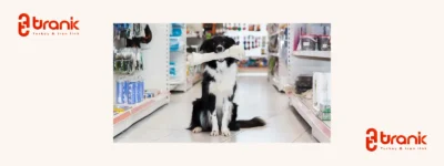 پت پارک هتل | Pet Park Hotel