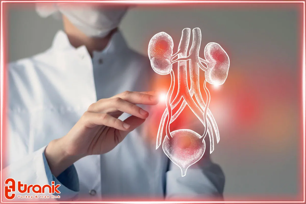 خدمات پزشکی اورولوژی ارائه شده توسط متخصصین ایرانی در استانبول
