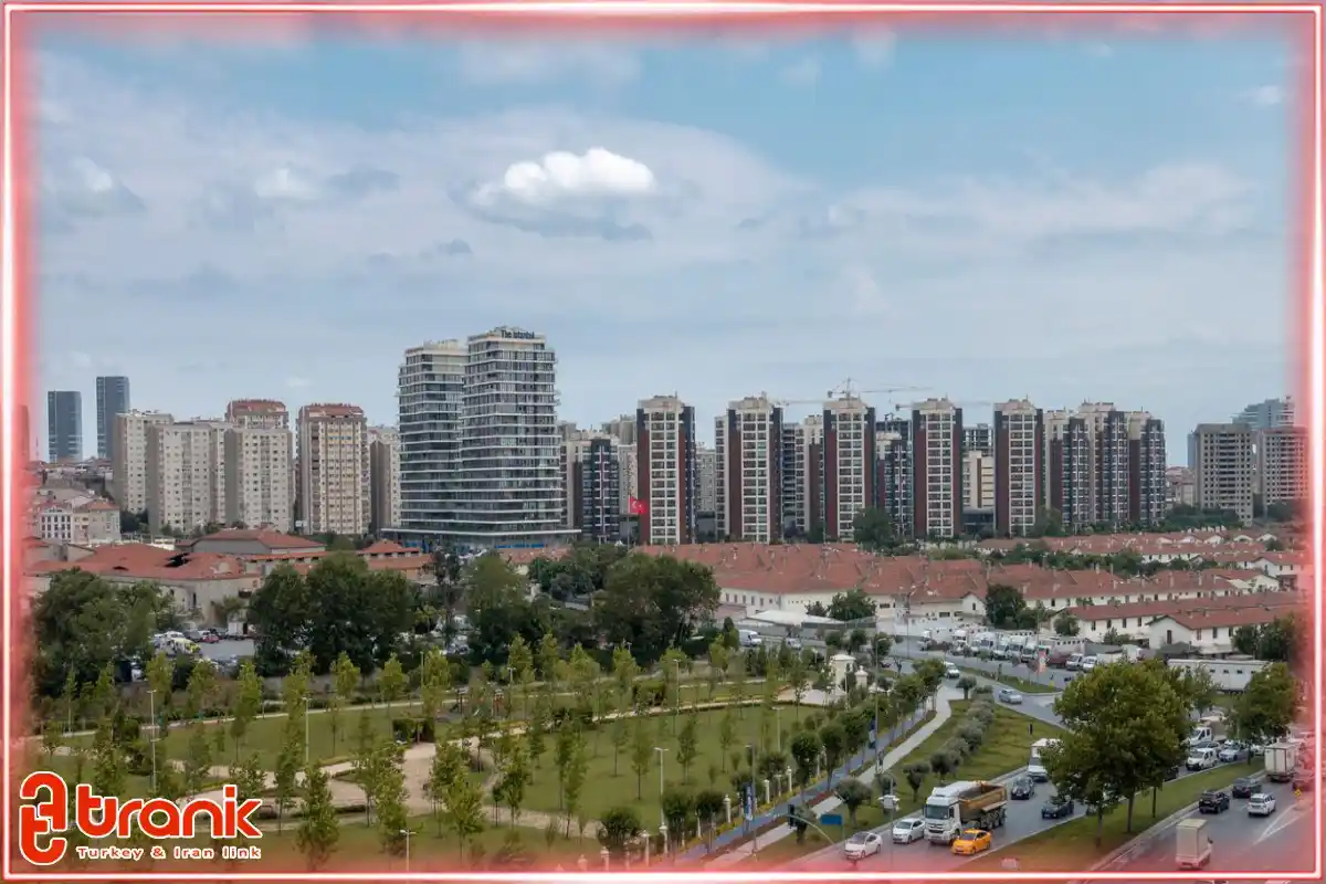 زندگی در زیتون بورنو