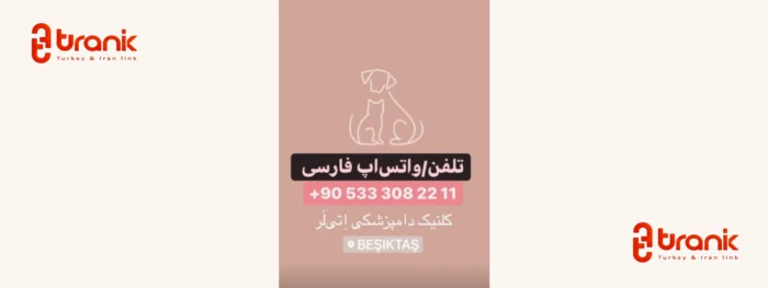 جراحی دامپزشکی تخصصی