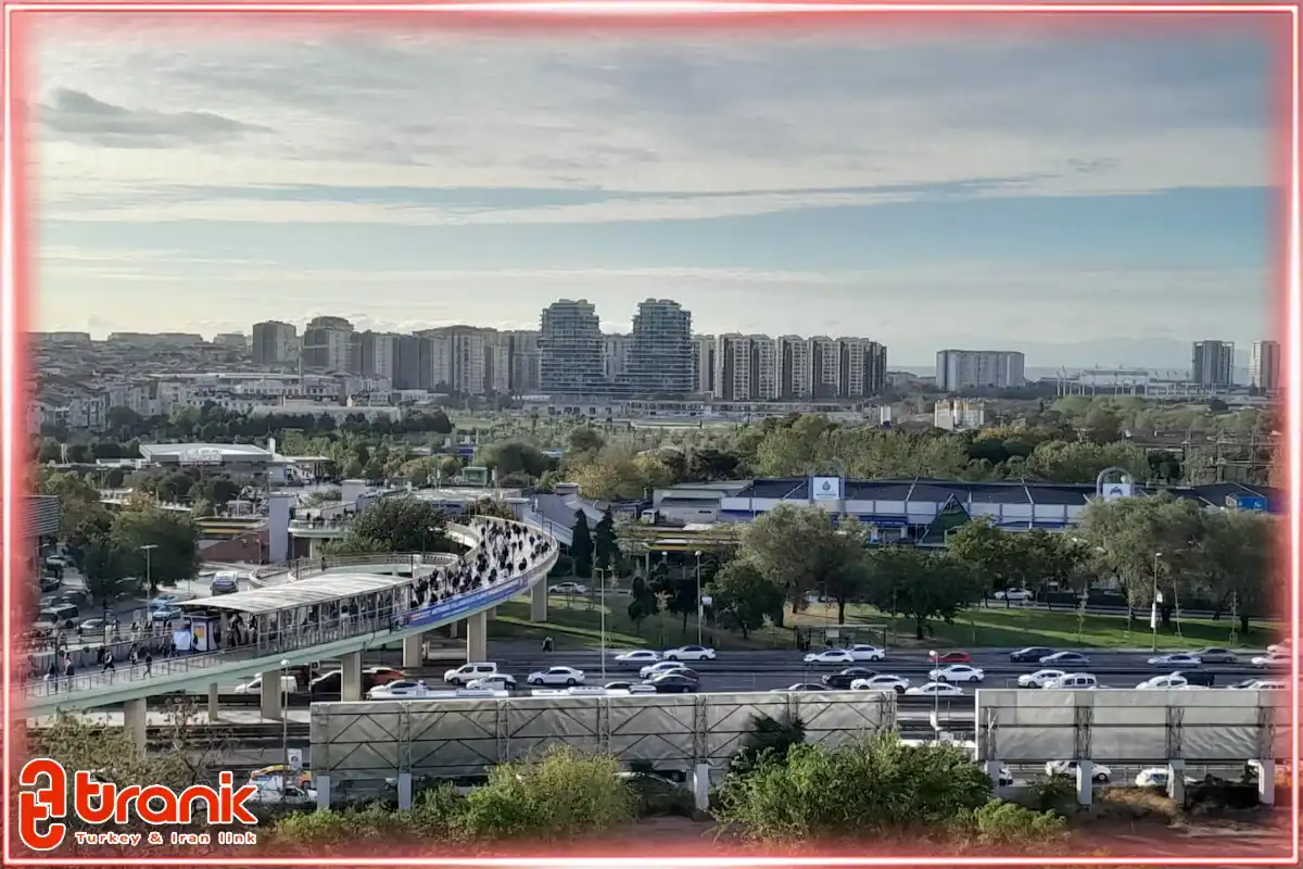 نکات مهم برای زندگی در زیتون بورنو