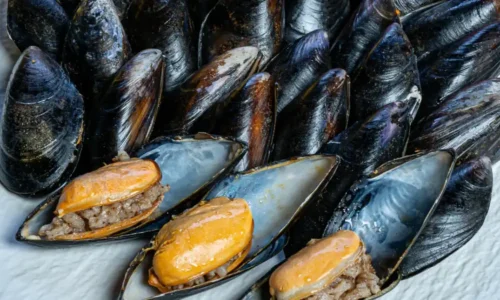 حادثه مسمومیت صدف دریایی در ترکیه